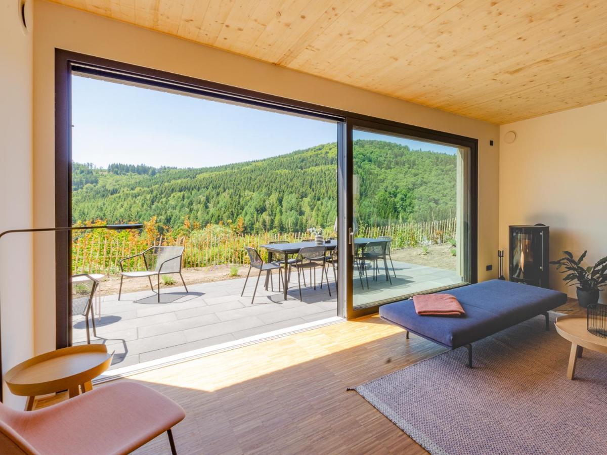 Sauerland Lodge - Haus Julius ヴィンターベルク エクステリア 写真