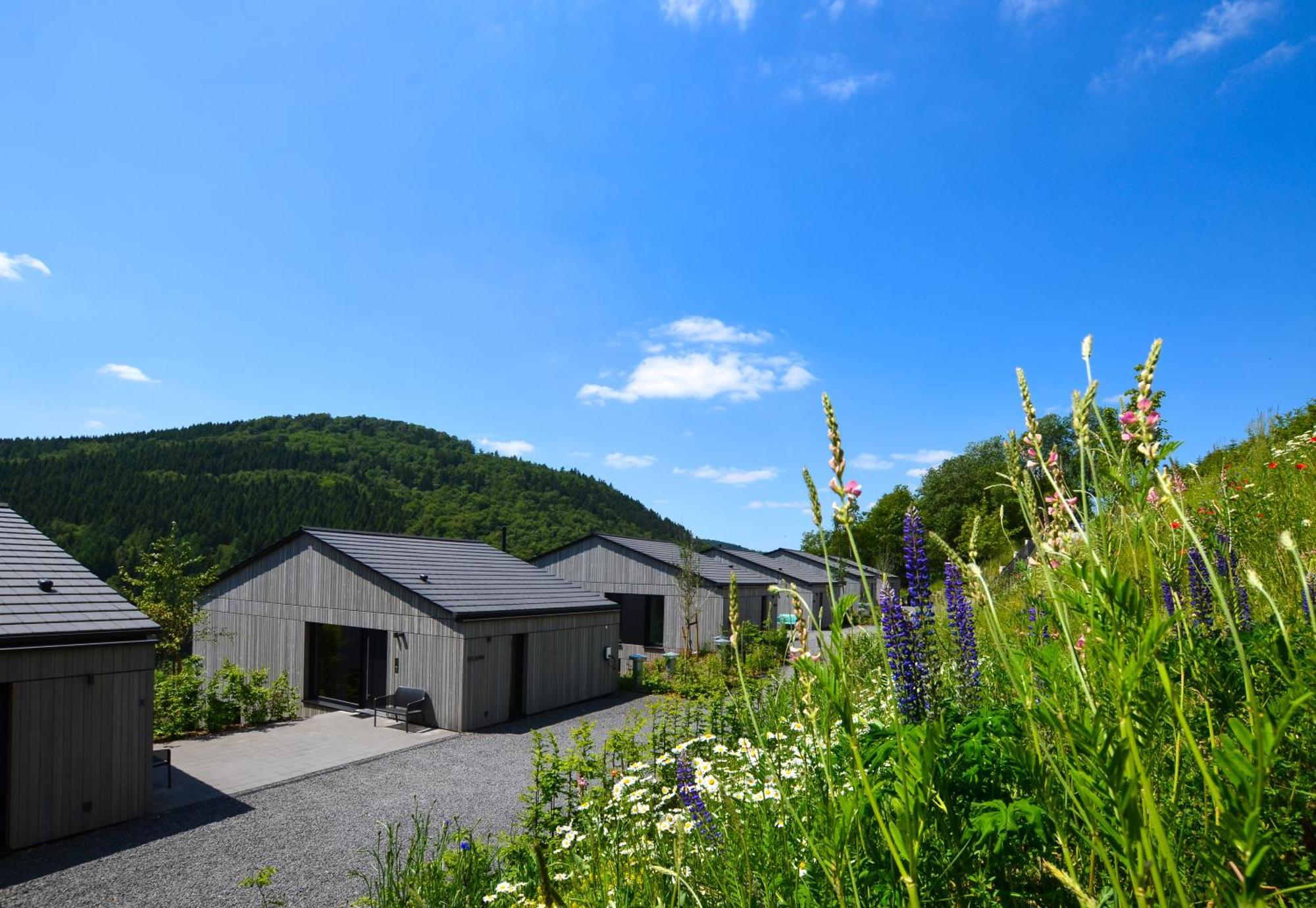 Sauerland Lodge - Haus Julius ヴィンターベルク エクステリア 写真