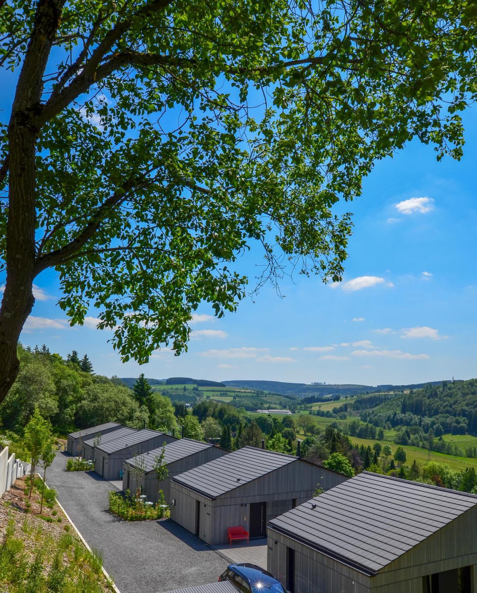 Sauerland Lodge - Haus Julius ヴィンターベルク エクステリア 写真